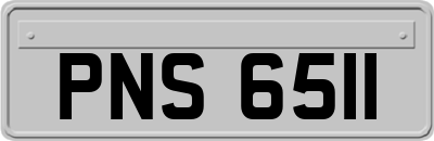 PNS6511