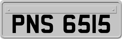 PNS6515