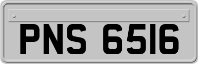 PNS6516