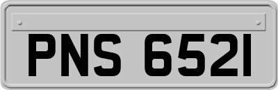 PNS6521
