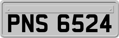 PNS6524