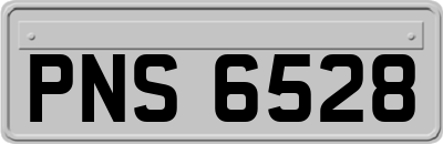 PNS6528