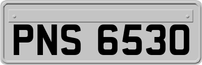 PNS6530