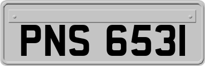 PNS6531