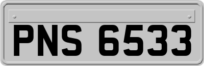 PNS6533
