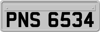 PNS6534