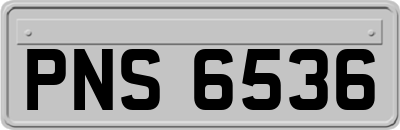 PNS6536