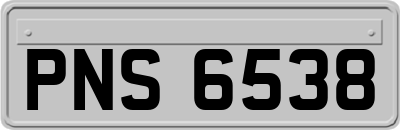 PNS6538