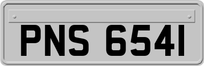 PNS6541