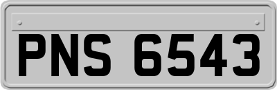 PNS6543