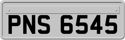 PNS6545
