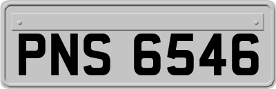 PNS6546