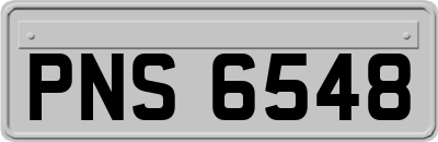PNS6548