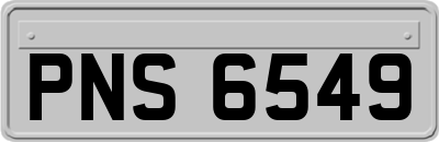 PNS6549