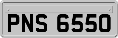 PNS6550