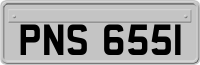 PNS6551
