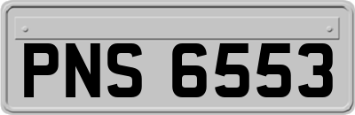 PNS6553
