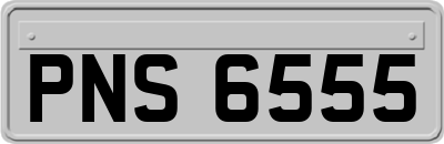 PNS6555