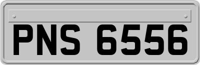 PNS6556