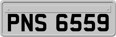 PNS6559