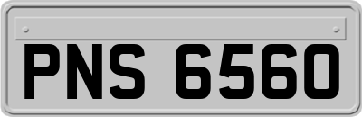 PNS6560