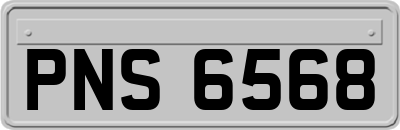 PNS6568