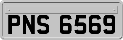 PNS6569