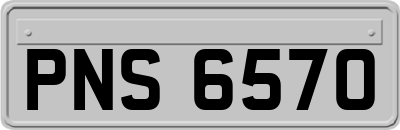PNS6570