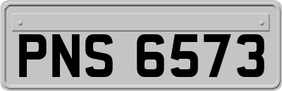 PNS6573