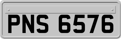 PNS6576