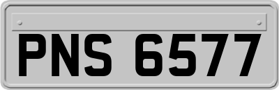 PNS6577