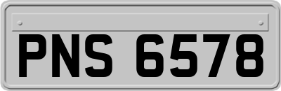 PNS6578