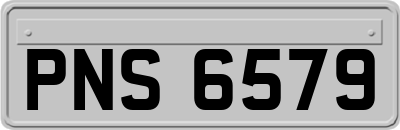 PNS6579