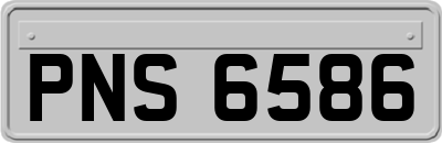 PNS6586