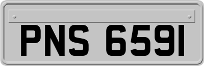 PNS6591