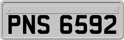 PNS6592