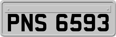 PNS6593