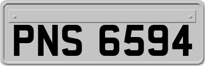 PNS6594