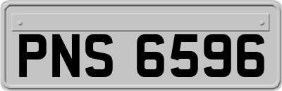 PNS6596