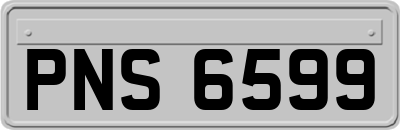 PNS6599