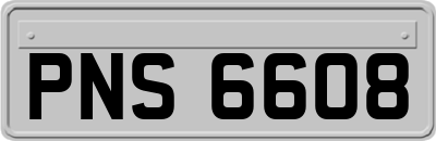 PNS6608
