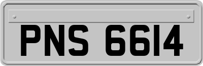 PNS6614