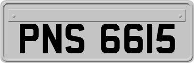 PNS6615