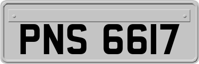 PNS6617