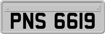 PNS6619
