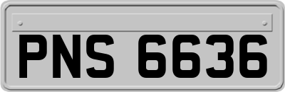 PNS6636