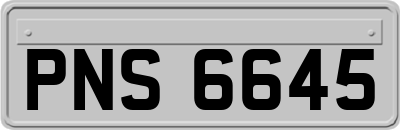 PNS6645