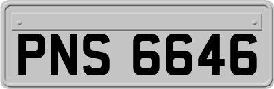 PNS6646