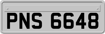 PNS6648
