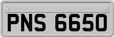 PNS6650
